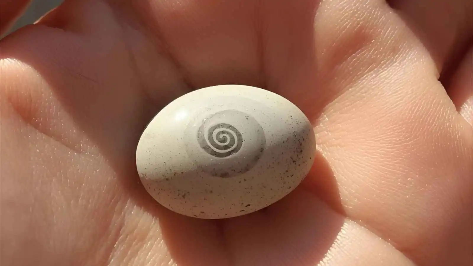 smooth striped stone in palm of hand under gentle light